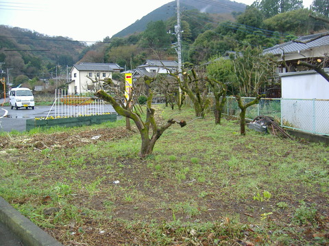 駐車帯片づけ終了右