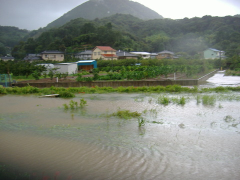 八戸川氾濫畑まで30cm-1