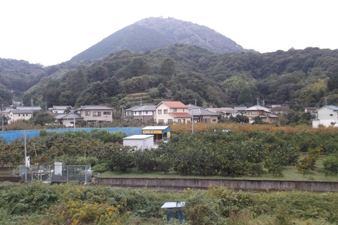 芝の畑