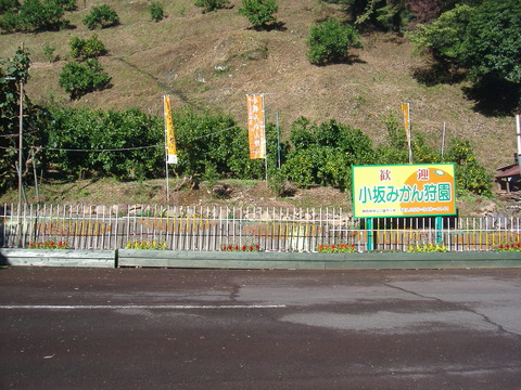 No,3