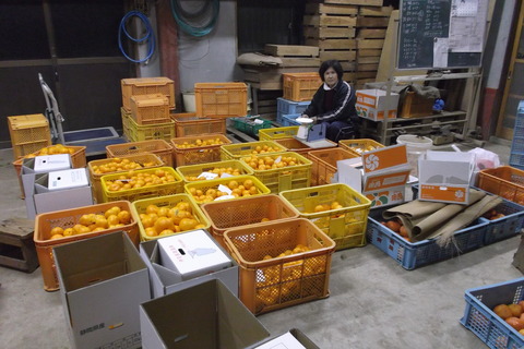 12月夜間作業2
