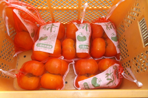 柿販売