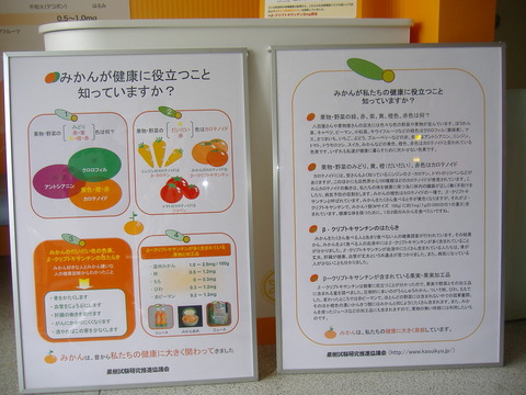 資料2,3