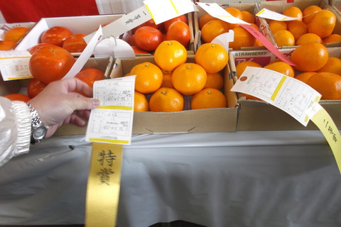 大賞みかんの部