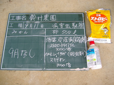 9月度柿消毒