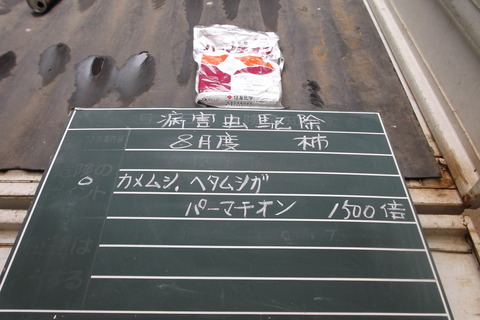 8月度の消毒柿