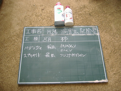 8月柿消毒