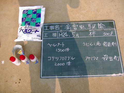 柿消毒5月10日