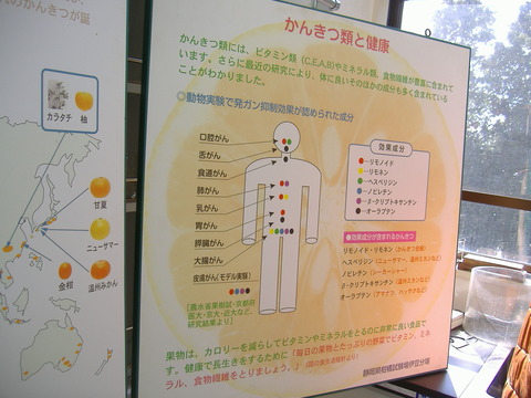 伊豆分場