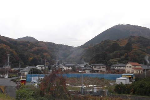 30芝の畑