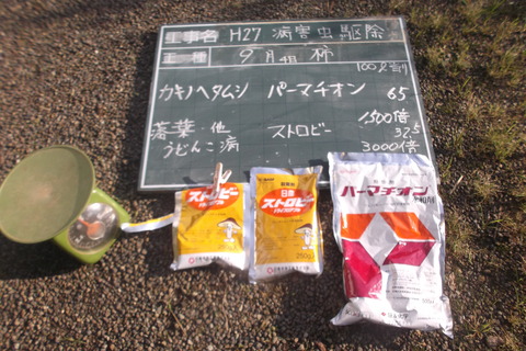 9月柿消毒