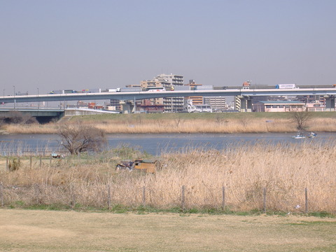 八広荒川