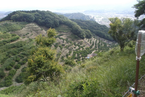 草刈途中