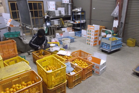 夜間作業1