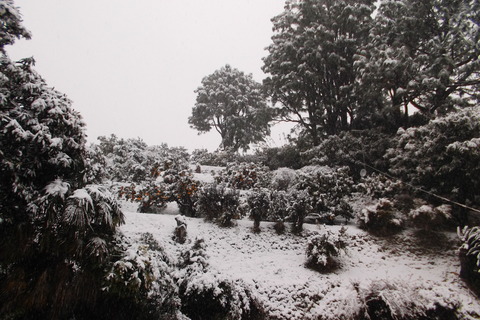 8 雪-北側