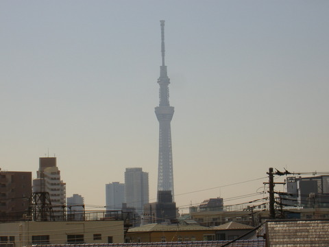 八広からのスカイツリー