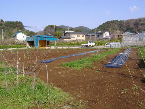 芝の前2