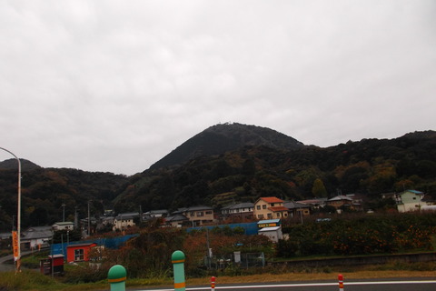 芝の畑