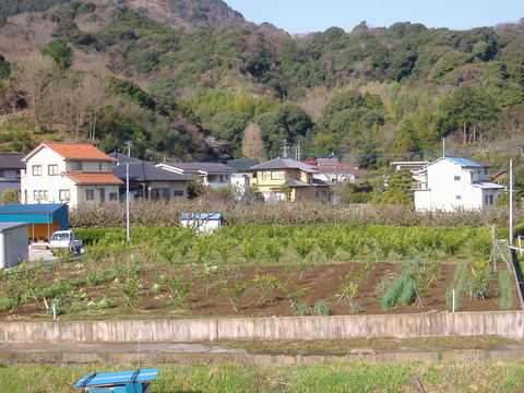 芝の前1