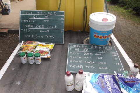 12みかん13柿消毒