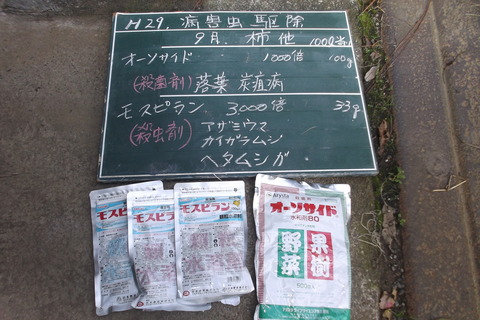9月柿消毒