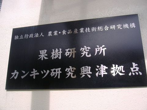 興津果樹研究所