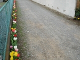 DSC06051