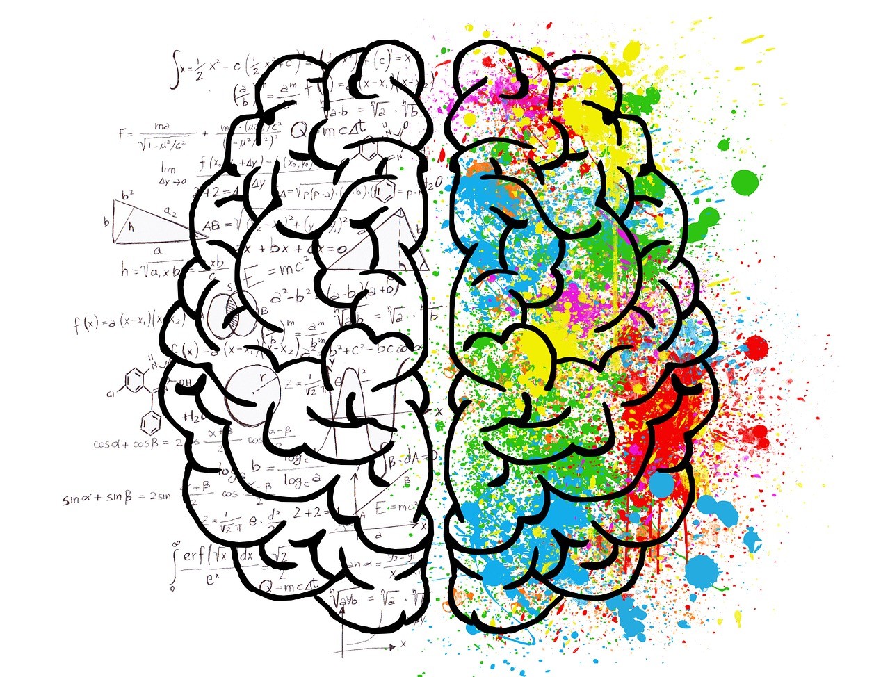brain-3017071_1280