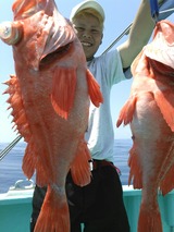 97c69750.jpg