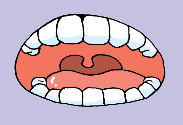 歯 イラスト 口中