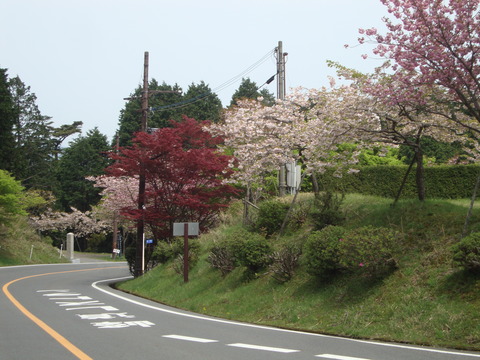 DSC08108