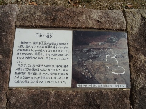 DSC08825 (800x600)