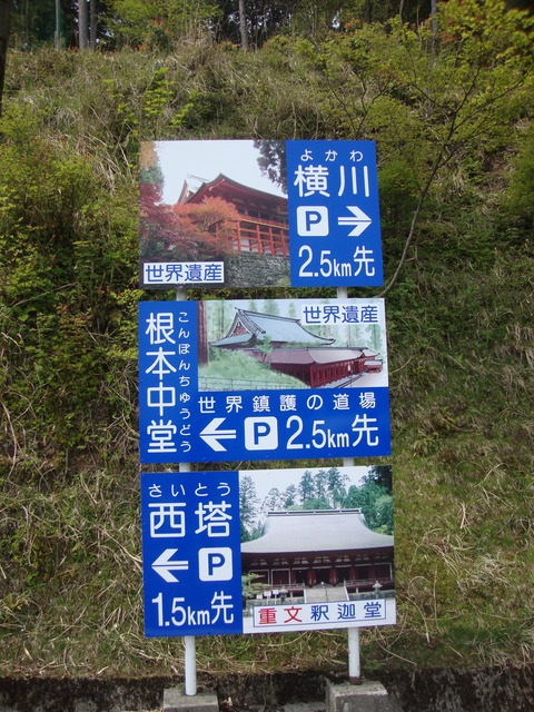 DSC08101