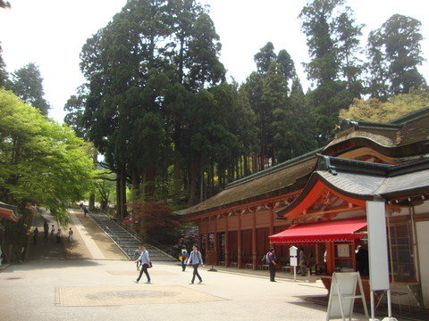 DSC08122