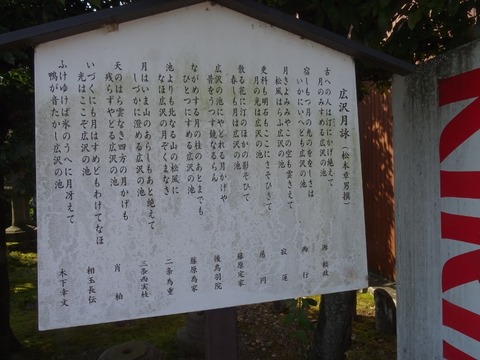 DSC08817 (800x600)