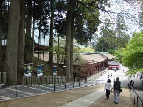 DSC08116