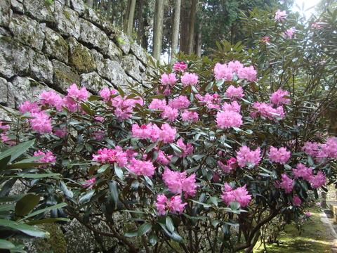 DSC08124