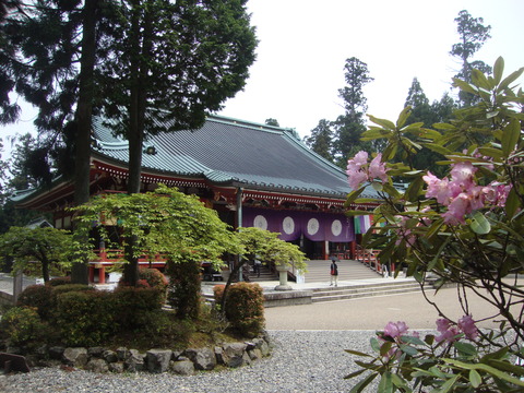 DSC08115