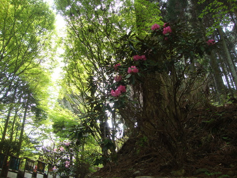 DSC08111