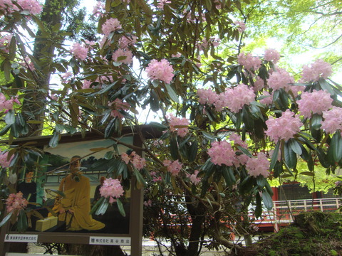 DSC08112