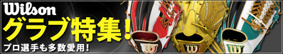 14-1-wil-glove-sp2