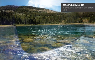 max_polarized_tint