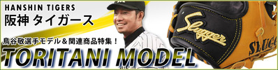 2014-toritani