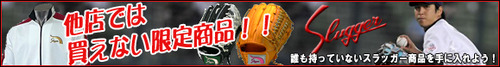 11-1-1_kubota-sw