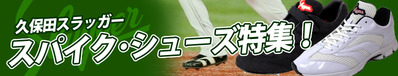 13-6-2014slugger
