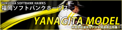 2016-yanagita