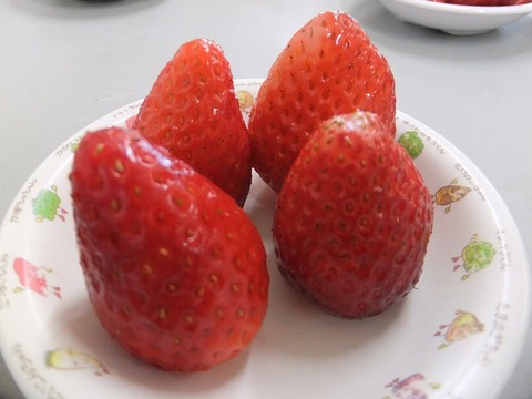 DSCF6067