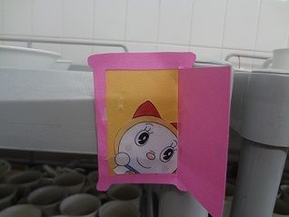 どこでもドア どらみちゃん