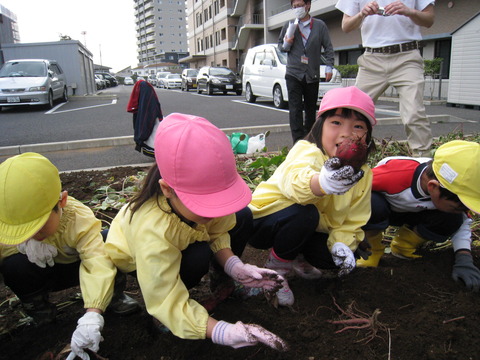 さつまいも１４