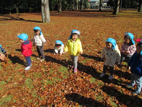 いちご散歩⑭